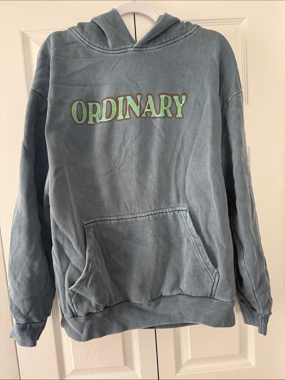 Ordinary Graphic Hoodie in Washed Teal